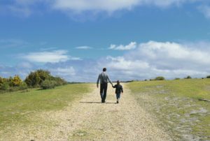 Limited Company Advantages and Disadvantages Your Company Formations